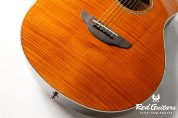 APX-600FM - Amber
